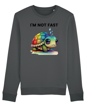 Broasca testoasa pictata in acuarela cu mesajul I'm not fast Anthracite