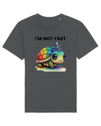 Broasca testoasa pictata in acuarela cu mesajul I'm not fast Anthracite