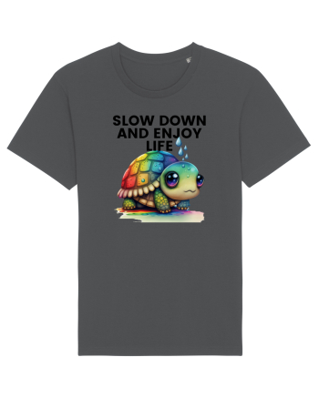 Broasca testoasa pictata in acuarela cu mesajul  Slow Down and Enjoy Life Anthracite
