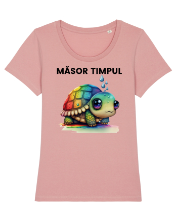 Broasca testoasa pictata in acuarela cu mesajul  Masor Timpul Canyon Pink