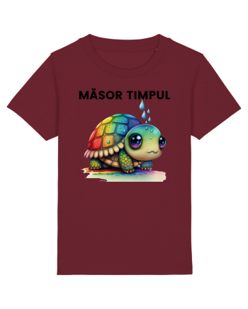 Broasca testoasa pictata in acuarela cu mesajul  Masor Timpul Burgundy