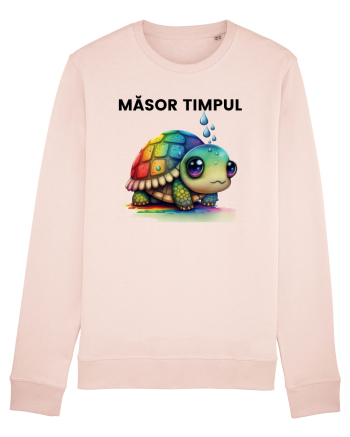 Broasca testoasa pictata in acuarela cu mesajul  Masor Timpul Candy Pink