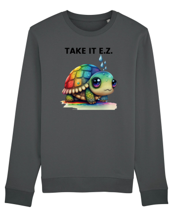 Broasca testoasa pictata in acuarela cu mesajul  Take it E.Z. Anthracite
