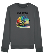 Broasca testoasa pictata in acuarela cu mesajul Live Slow Bluză mânecă lungă Unisex Rise