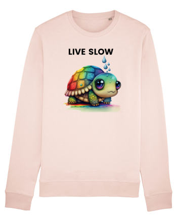 Broasca testoasa pictata in acuarela cu mesajul Live Slow Candy Pink
