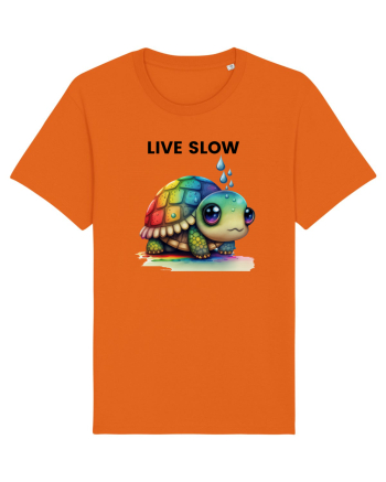 Broasca testoasa pictata in acuarela cu mesajul Live Slow Bright Orange