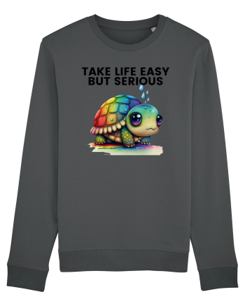 Broasca testoasa pictata in acuarela cu mesajul Take Life Easy but Serious Anthracite
