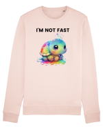 Broasca testoasa pictata in acuarela cu mesajul I'm not fast Bluză mânecă lungă Unisex Rise