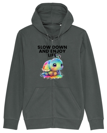 Broasca testoasa pictata in acuarela cu mesajul  Slow Down and Enjoy Life Anthracite