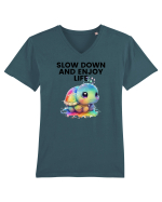 Broasca testoasa pictata in acuarela cu mesajul  Slow Down and Enjoy Life Tricou mânecă scurtă guler V Bărbat Presenter