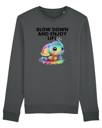 Broasca testoasa pictata in acuarela cu mesajul  Slow Down and Enjoy Life Anthracite