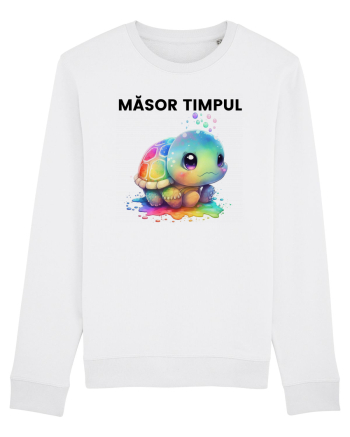 Broasca testoasa pictata in acuarela cu mesajul  Masor Timpul White