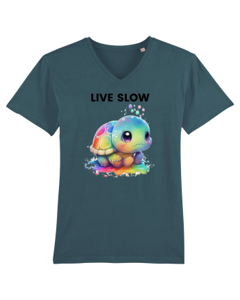Broasca testoasa pictata in acuarela cu mesajul Live Slow Stargazer
