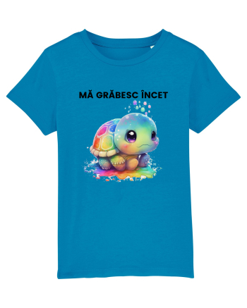 Broasca testoasa pictata in acuarela cu mesajul Ma grabesc Incet Azur