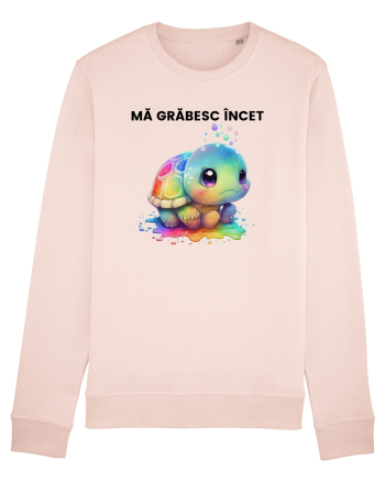 Broasca testoasa pictata in acuarela cu mesajul Ma grabesc Incet Candy Pink
