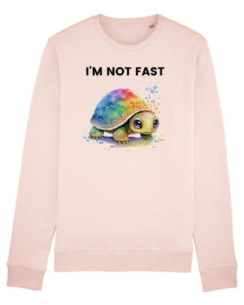 Broasca testoasa pictata in acuarela cu mesajul I'm not fast Candy Pink