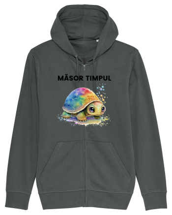 Broasca testoasa pictata in acuarela cu mesajul  Masor Timpul Anthracite
