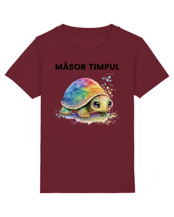 Broasca testoasa pictata in acuarela cu mesajul  Masor Timpul Burgundy