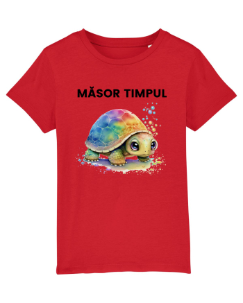 Broasca testoasa pictata in acuarela cu mesajul  Masor Timpul Red