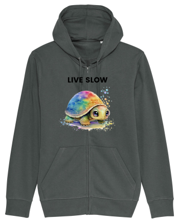 Broasca testoasa pictata in acuarela cu mesajul Live Slow Anthracite