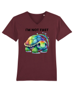 Broasca testoasa pictata in acuarela cu mesajul I'm not fast Tricou mânecă scurtă guler V Bărbat Presenter