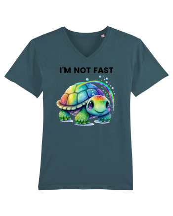 Broasca testoasa pictata in acuarela cu mesajul I'm not fast Stargazer