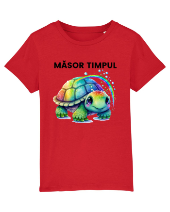 Broasca testoasa pictata in acuarela cu mesajul  Masor Timpul Red
