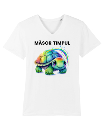 Broasca testoasa pictata in acuarela cu mesajul  Masor Timpul White
