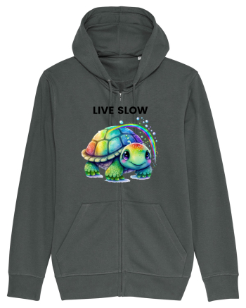 Broasca testoasa pictata in acuarela cu mesajul Live Slow Anthracite