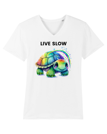 Broasca testoasa pictata in acuarela cu mesajul Live Slow White