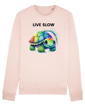 Broasca testoasa pictata in acuarela cu mesajul Live Slow Candy Pink