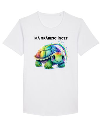 Broasca testoasa pictata in acuarela cu mesajul Ma grabesc Incet White