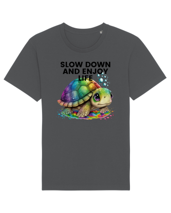 Broasca testoasa pictata in acuarela cu mesajul  Slow Down and Enjoy Life Anthracite