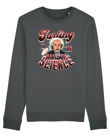 Einstein Farting In The Name Of Science Anthracite