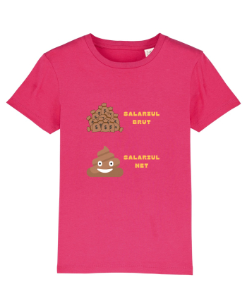 SALARIU BRUT - SALARIU NET Raspberry