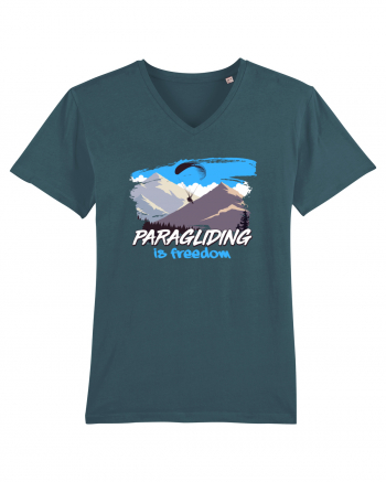 Paragliding Stargazer