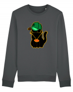 Hip Hop Cat  Bluză mânecă lungă Unisex Rise