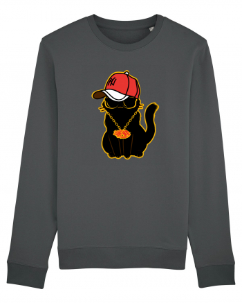 Hip Hop Cat  Anthracite