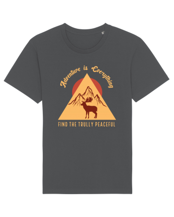 Adventure is Everything Find the Trully Peaceful Anthracite