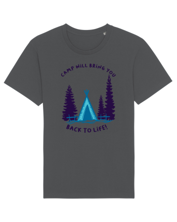 Camp Will Bring You Back to Life! Anthracite