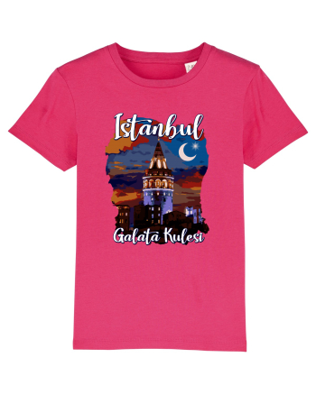 Istanbul Galata Kulesi Raspberry