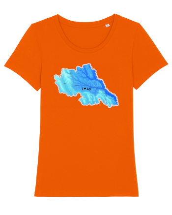Iași County Map Bright Orange