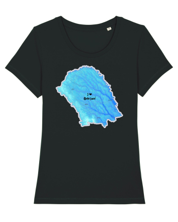 Botoșani County Map Black