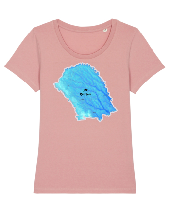 Botoșani County Map Canyon Pink
