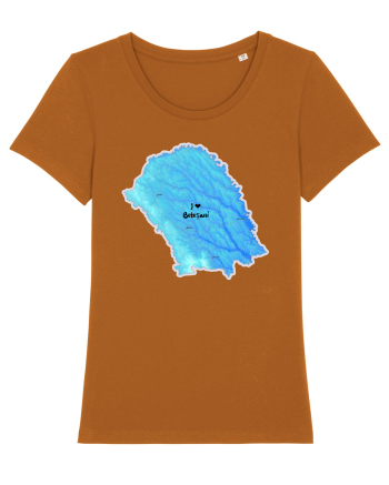 Botoșani County Map Roasted Orange