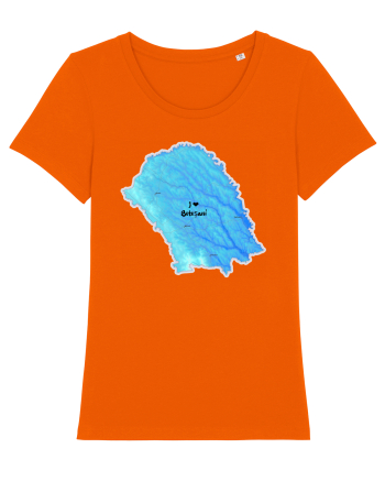 Botoșani County Map Bright Orange