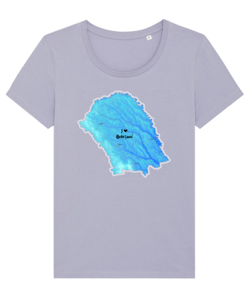 Botoșani County Map Lavender