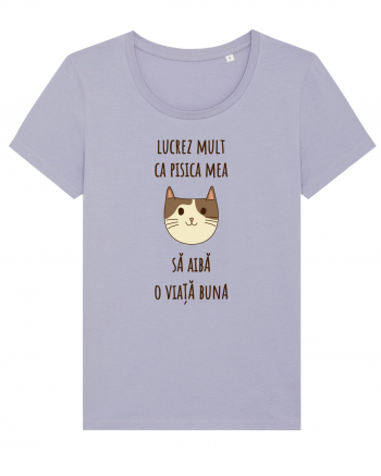 Pisica cu citat Lavender