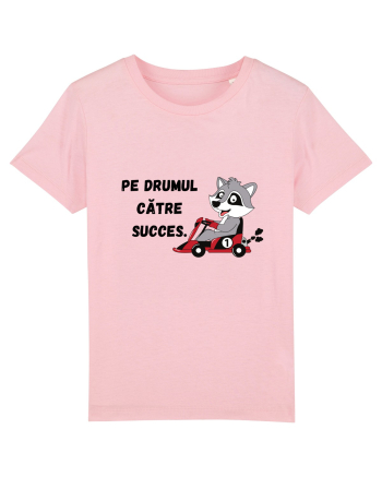 PE DRUMUL CĂTRE SUCCES V1 Cotton Pink