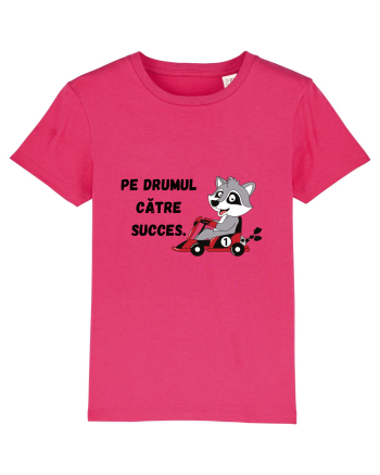 PE DRUMUL CĂTRE SUCCES V1 Raspberry
